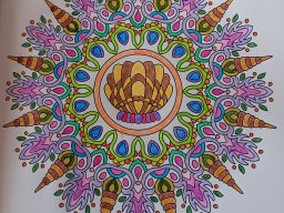 whatsapp bild 2024-01-16 um 11.53.06_be3a3ac3